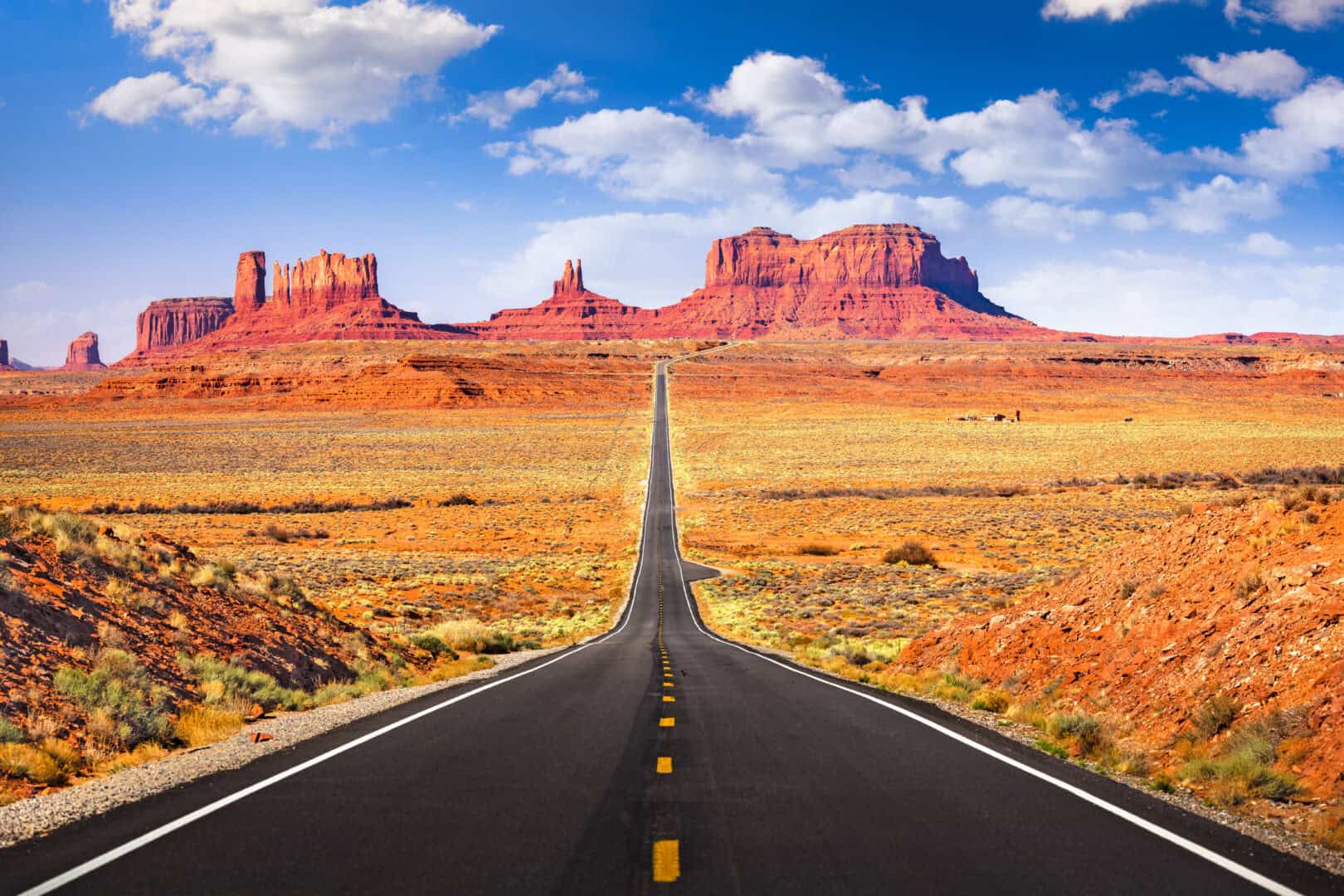 WEST USA: gli occhi del Coyote